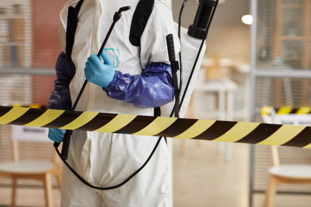 Professional Sewage Cleanup technician working in Rochester, MI